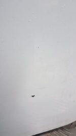 CITROEN BERLINGO PEUGEOT PARTNER PASSENGER SIDE LOADING DOOR WHITE 2009 - 2018 - Image 13