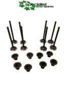 CITROEN 1.6 INLET EXHAUST VALVES DV6FDU DV6FCU BHX BHV WITH STEM SEALS DIESEL