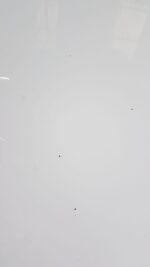 CITROEN BERLINGO / PEUGEOT PARTNER BONNET IN BANQUISE WHITE EWP 2009 - 2018 - Image 18