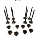 PEUGEOT 1.6 INLET EXHAUST VALVES DV6FD DV6FC SET OF 8 WITH STEM SEALS DIESEL
