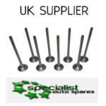 PEUGEOT CITROEN INLET VALVES SET OF 8 DW10FUD 2.0 DIESEL BOXER RELAY 9676718180